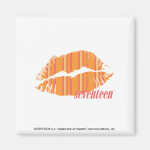 Thin Stripes Orange Magnet