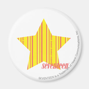 Thin Stripes Yellow 4 Magnet