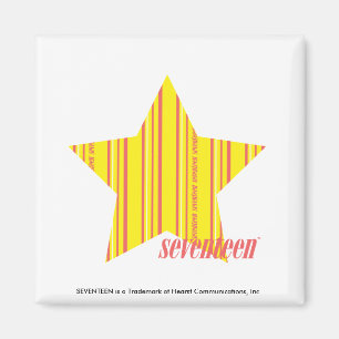 Thin Stripes Yellow 4 Magnet