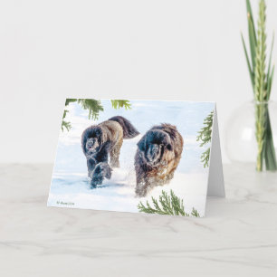 Thing Into the New Year! Holiday Card