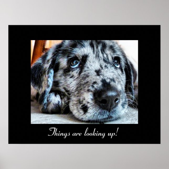 Things are looking up! poster (Front)