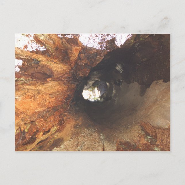 Things Are Tight Postcard (Front)