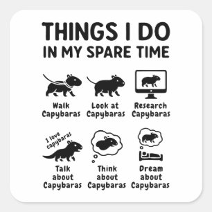 Things I Do In My Spare Time Capybara Funny Pet Square Sticker