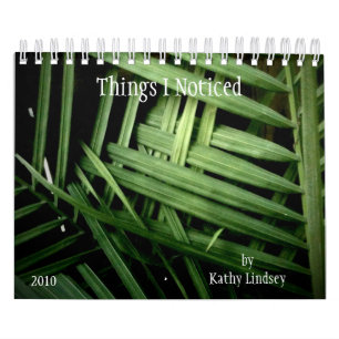 Things I Noticed, by Kathy Lindsey Calendar