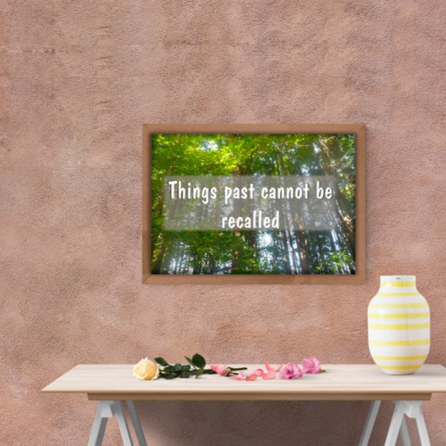 Things past cannot be recalled Inspiration poster (Creator Uploaded)