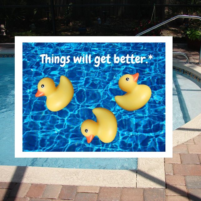 Things Will Get Better, Ducks in a Row, Pool Water Postcard (Creator Uploaded)