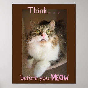 Think Before You Meow (Empathy Poster Print)