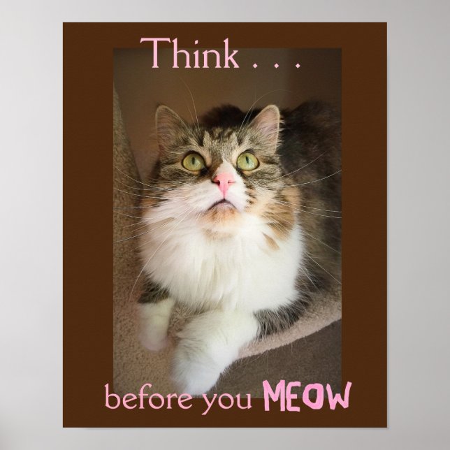 Think Before You Meow (Empathy Poster Print) (Front)