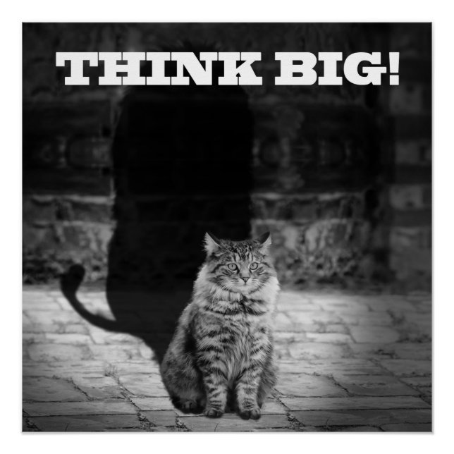 "Think Big" Cat Shadow Poster 20" x 20" (Front)