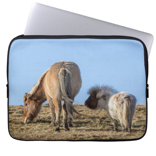 Think Big Laptop Case (Front)