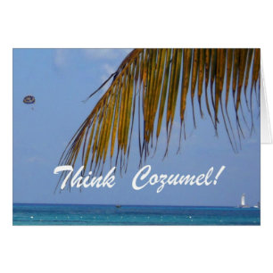 Think Cozumel!