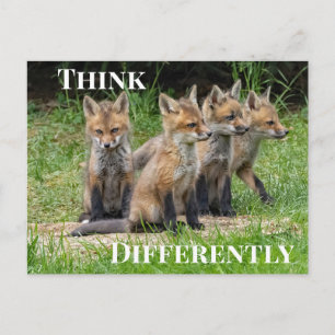  Think Differently Fox Postcard