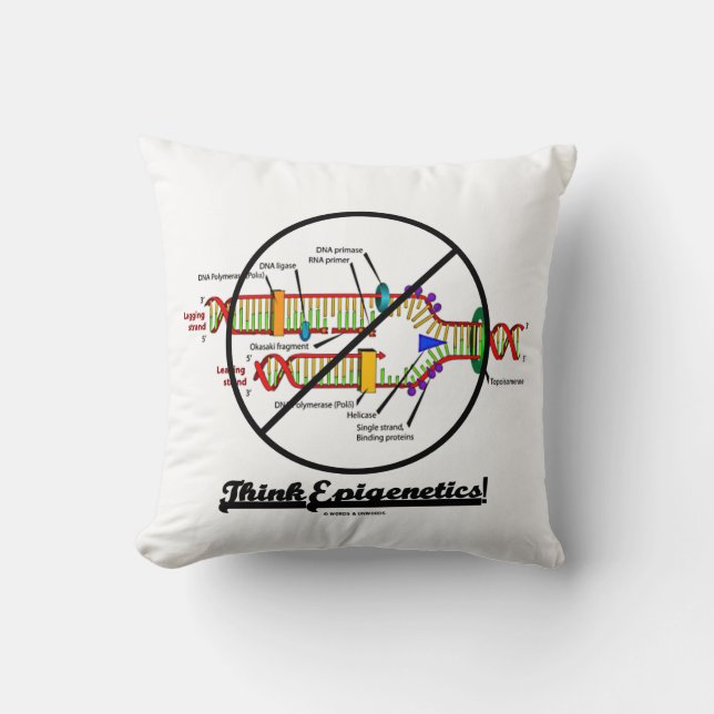 Think Epigenetics! DNA Replication Cross-Out Humou Cushion (Front)