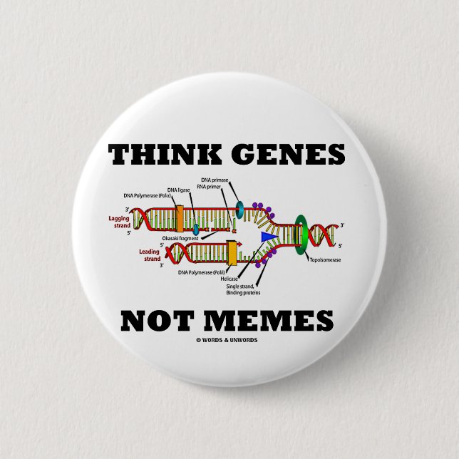 Think Genes Not Memes (DNA Replication) 6 Cm Round Badge (Front)