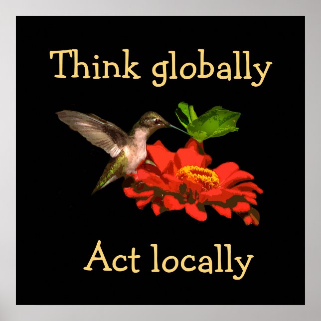 Think Globally Act Locally Hummingbird Poster (Front)