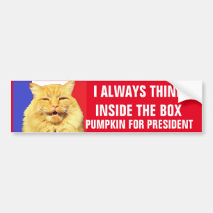 tHINK iNSIDE tHE bOX  Pumpkin for President Bumper Sticker