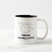 Think Krebs Cycle (Citric Acid Cycle - TCAC)