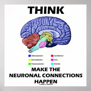 Think Make The Neuronal Connections Happen Poster
