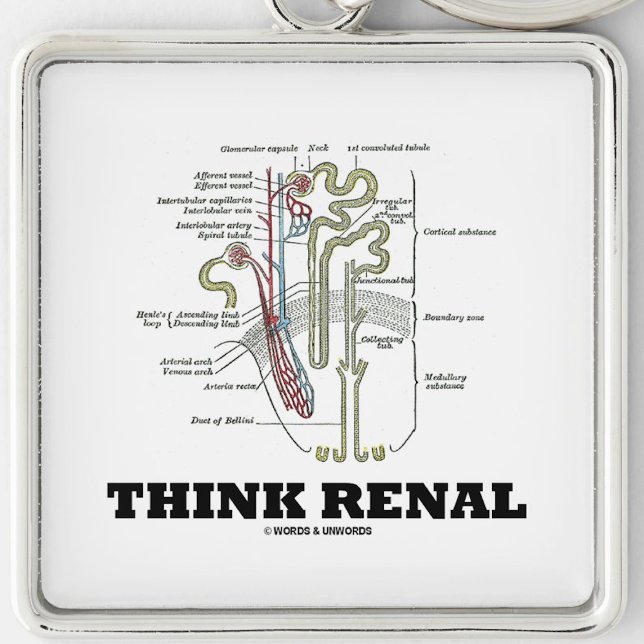 Think Renal (Kidney Nephron) Key Ring (Nephrological attitude keychain featuring a kidney's nephron with this advice "Think Renal")