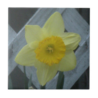 Think Spring! Ceramic Tile