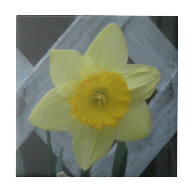 Think Spring! Ceramic Tile (Front)