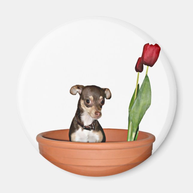 think spring! magnet (Front)