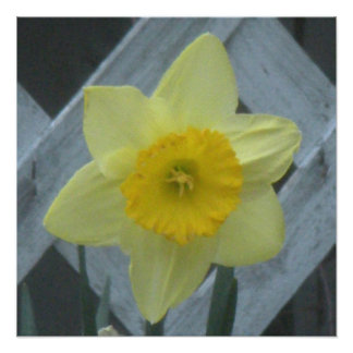 Think Spring! Photo Print