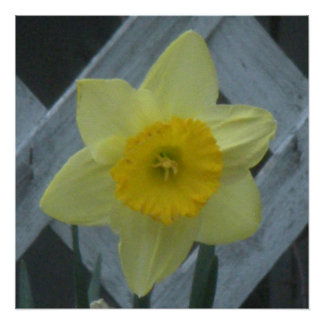 Think Spring! Poster