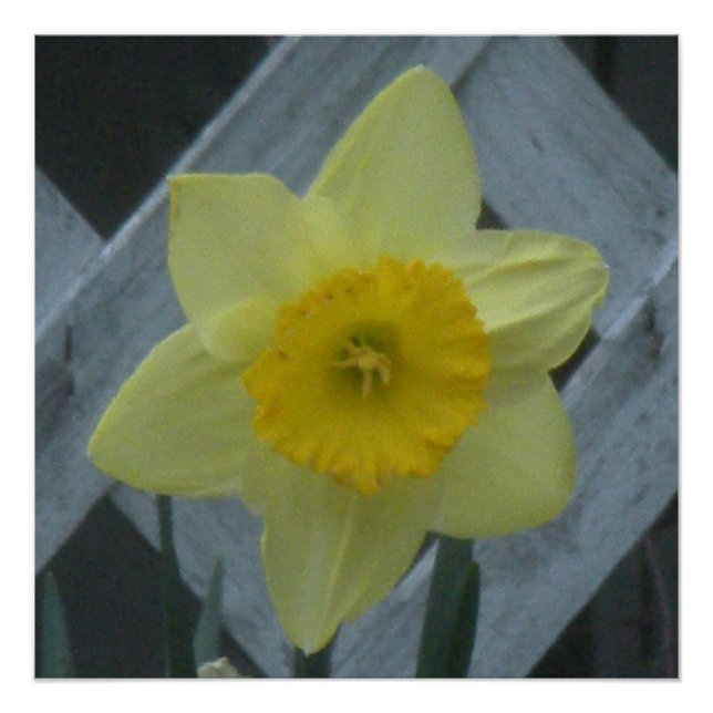 Think Spring! Poster (Front)