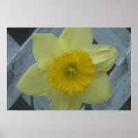 Think Spring!
