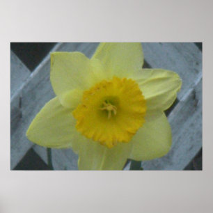 Think Spring! Poster