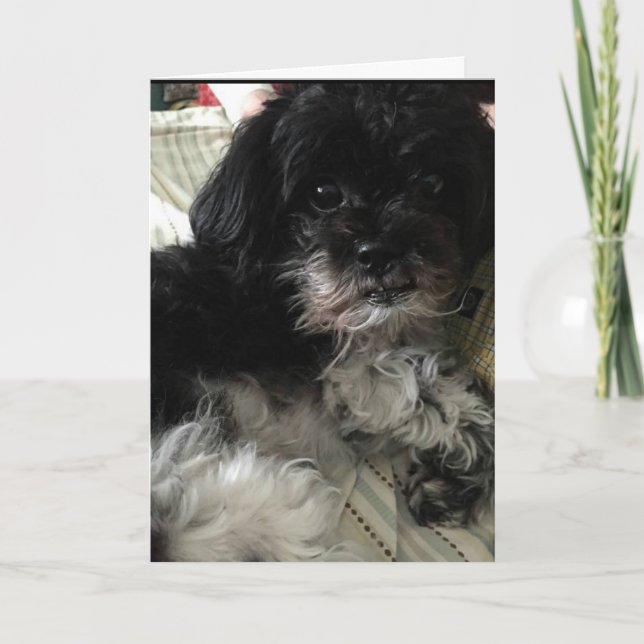 "THINKING ABOUT HOW MUCH I LOVE YOU!" LOVE CARD (Front)