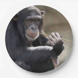 Thinking About Monkeying Around Paper Plate