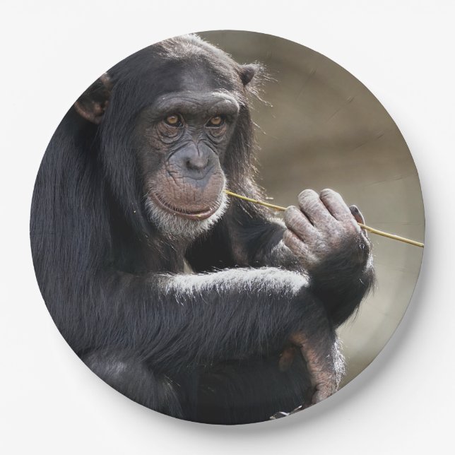 Thinking About Monkeying Around Paper Plate (Front)