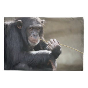 Thinking About Monkeying Around Pillowcase