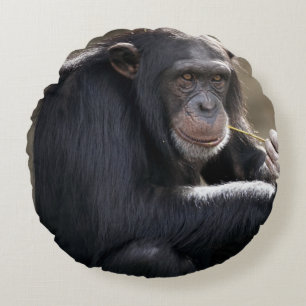 Thinking About Monkeying Around Round Cushion
