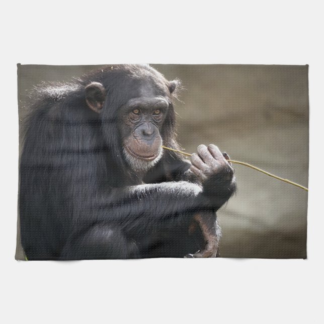 Thinking About Monkeying Around Tea Towel (Horizontal)