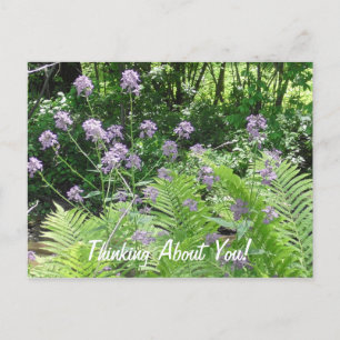 Thinking About You Purple Flowers Just Saying Hi Postcard