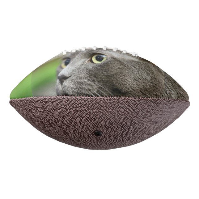 Thinking Football (Rotated 270)