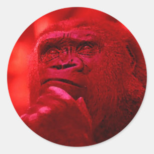 Thinking Gorilla Classic Round Sticker