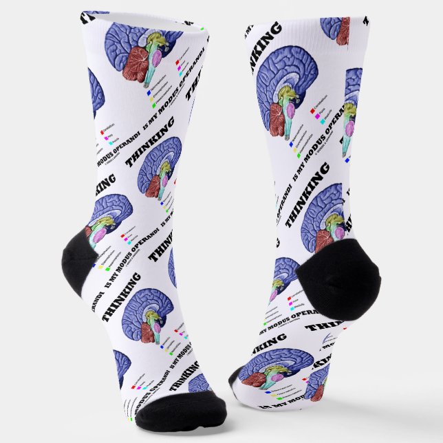 Thinking Is My Modus Operandi Brain Anatomy Socks (Angled)