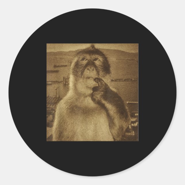 Thinking Monkey Meme Vintage Retro  Classic Round Sticker (Front)