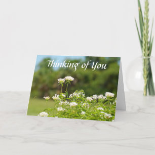 Thinking of and Miss you Greeting Card