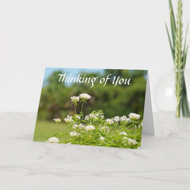 Thinking of and Miss you Greeting Card (Front)