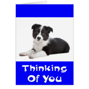 Thinking of Border Collie Puppy Dog Card