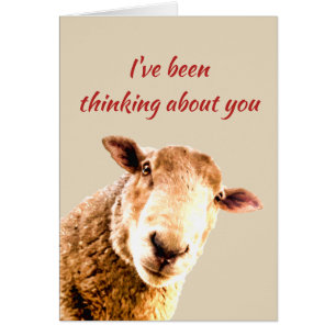Thinking of  Ewe  Funny Sheep Animal Humour