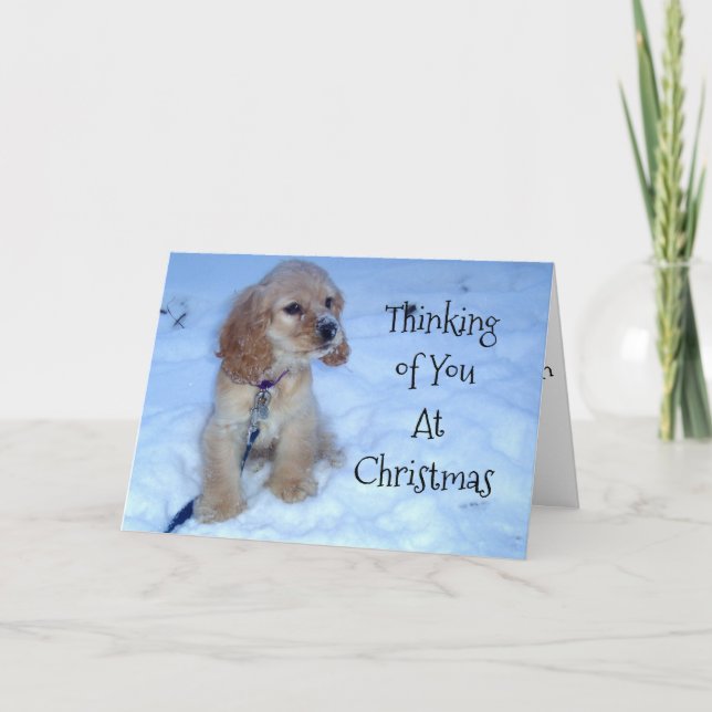THINKING OF U AT CHRISTMAS-SNOWBOUND  PUP HOLIDAY CARD (Front)