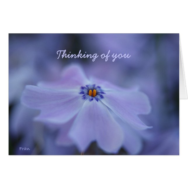 thinking of you (Front Horizontal)