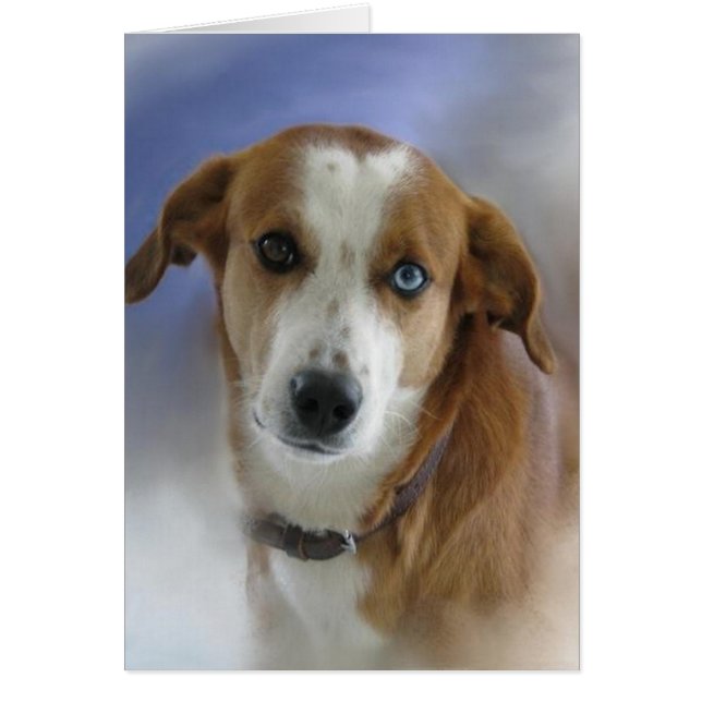 Thinking of You (Front)