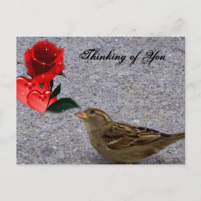 Thinking of You / Any Occasions_ Postcard (Front)